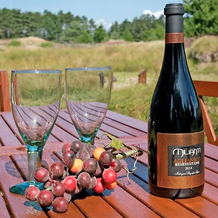 Vakantiehuis Siegried - 2-2km From The Sea By Interhome